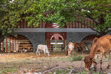 Gaughar Animal Husbandry